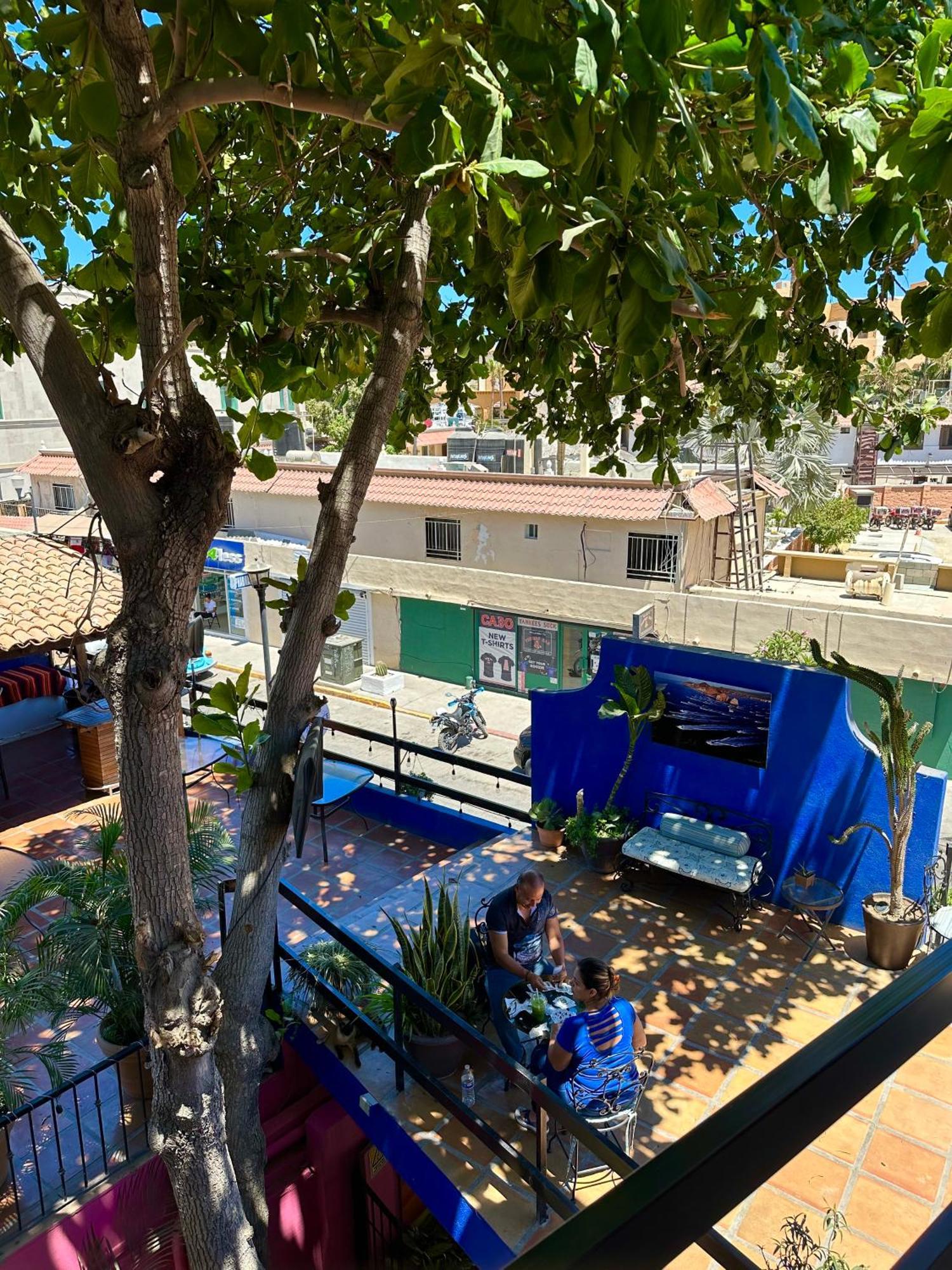 Siesta Suites Boutique Hotel Cabo San Lucas Luaran gambar