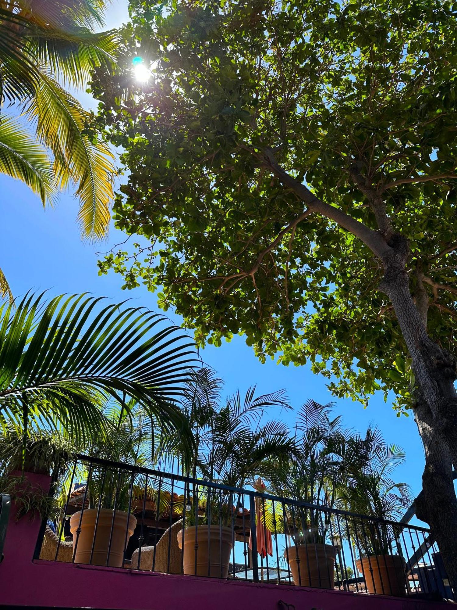 Siesta Suites Boutique Hotel Cabo San Lucas Luaran gambar