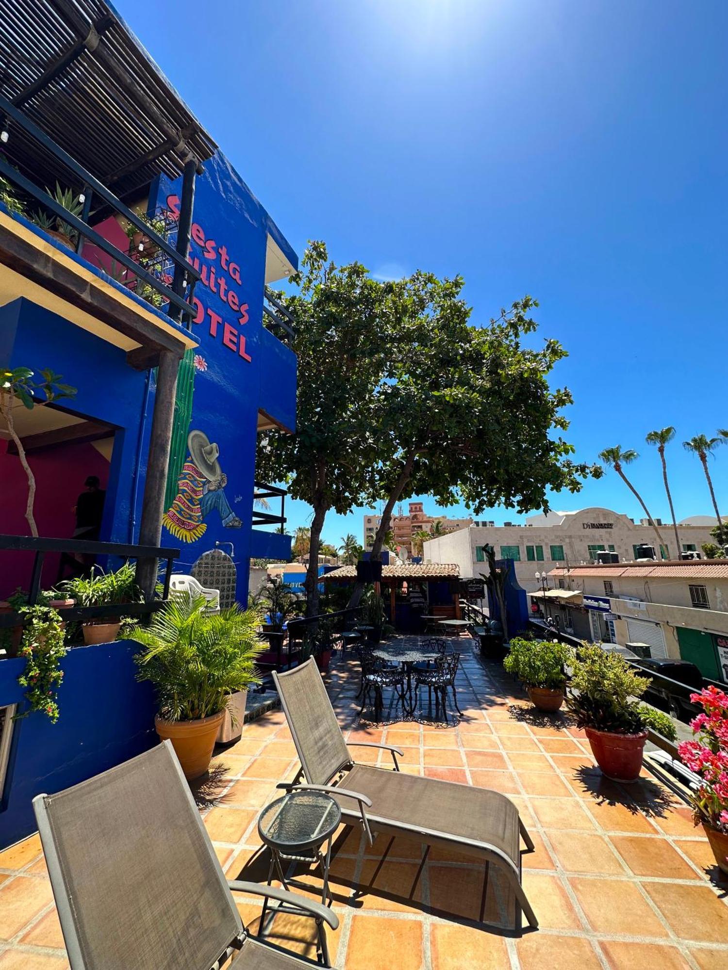 Siesta Suites Boutique Hotel Cabo San Lucas Luaran gambar
