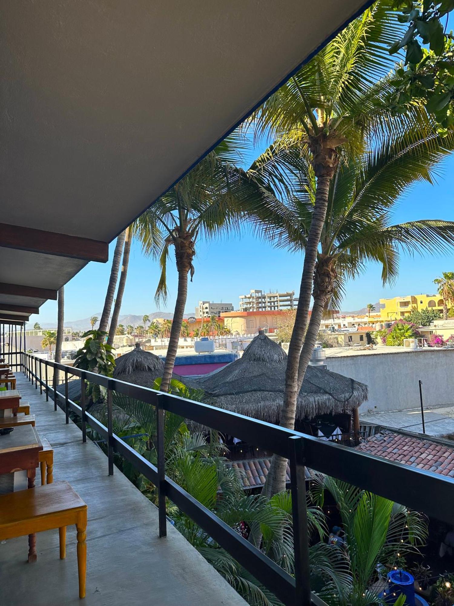 Siesta Suites Boutique Hotel Cabo San Lucas Luaran gambar
