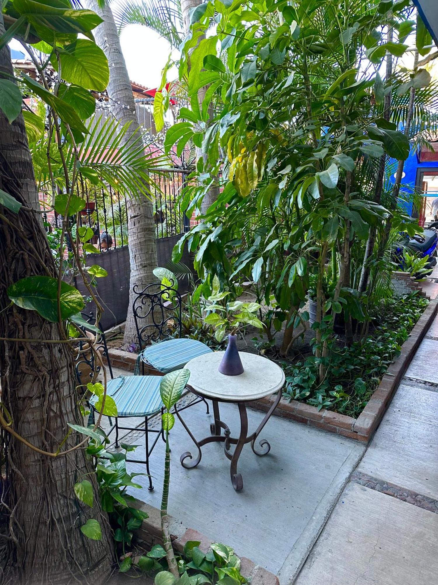 Siesta Suites Boutique Hotel Cabo San Lucas Luaran gambar
