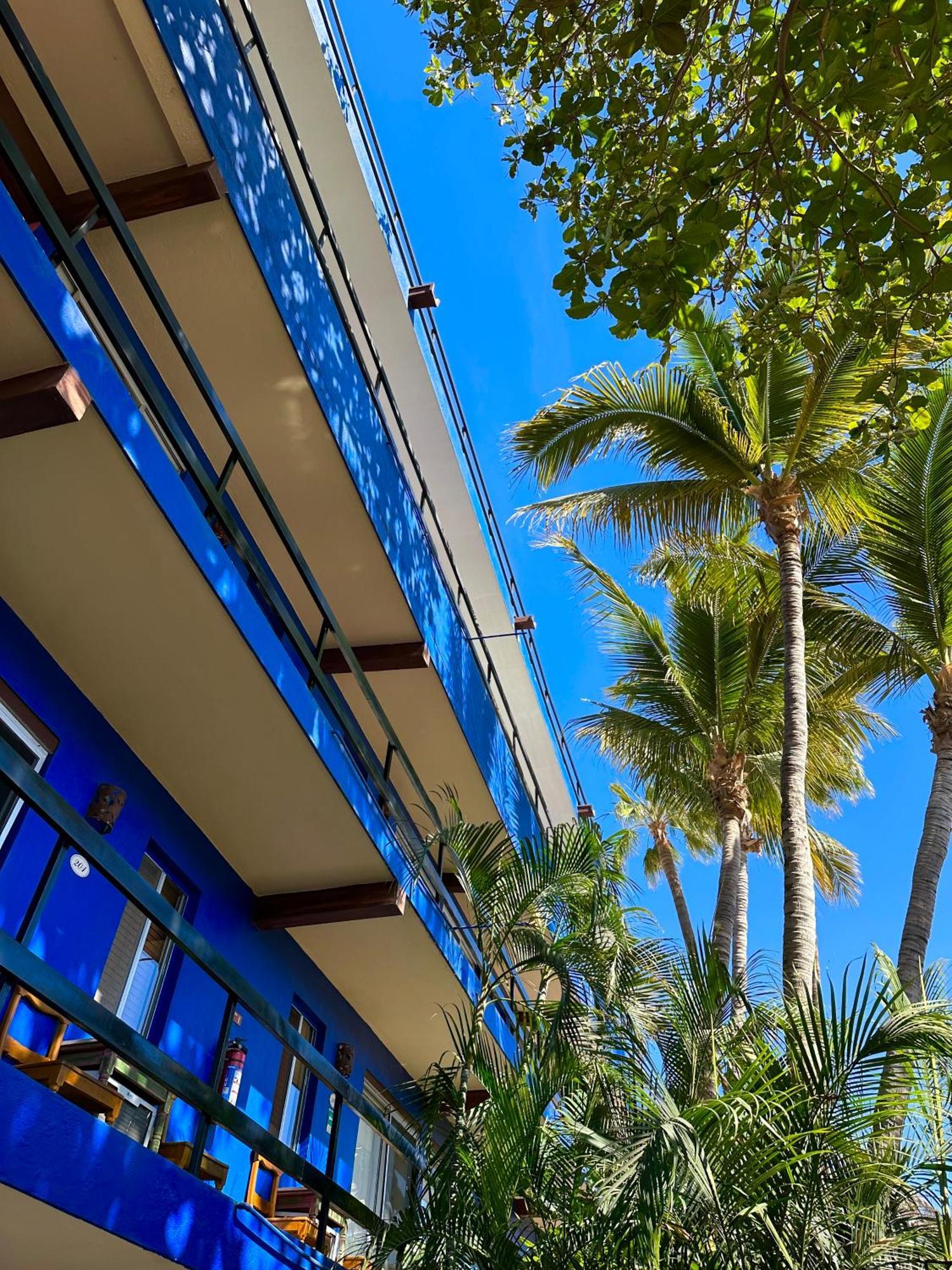Siesta Suites Boutique Hotel Cabo San Lucas Luaran gambar