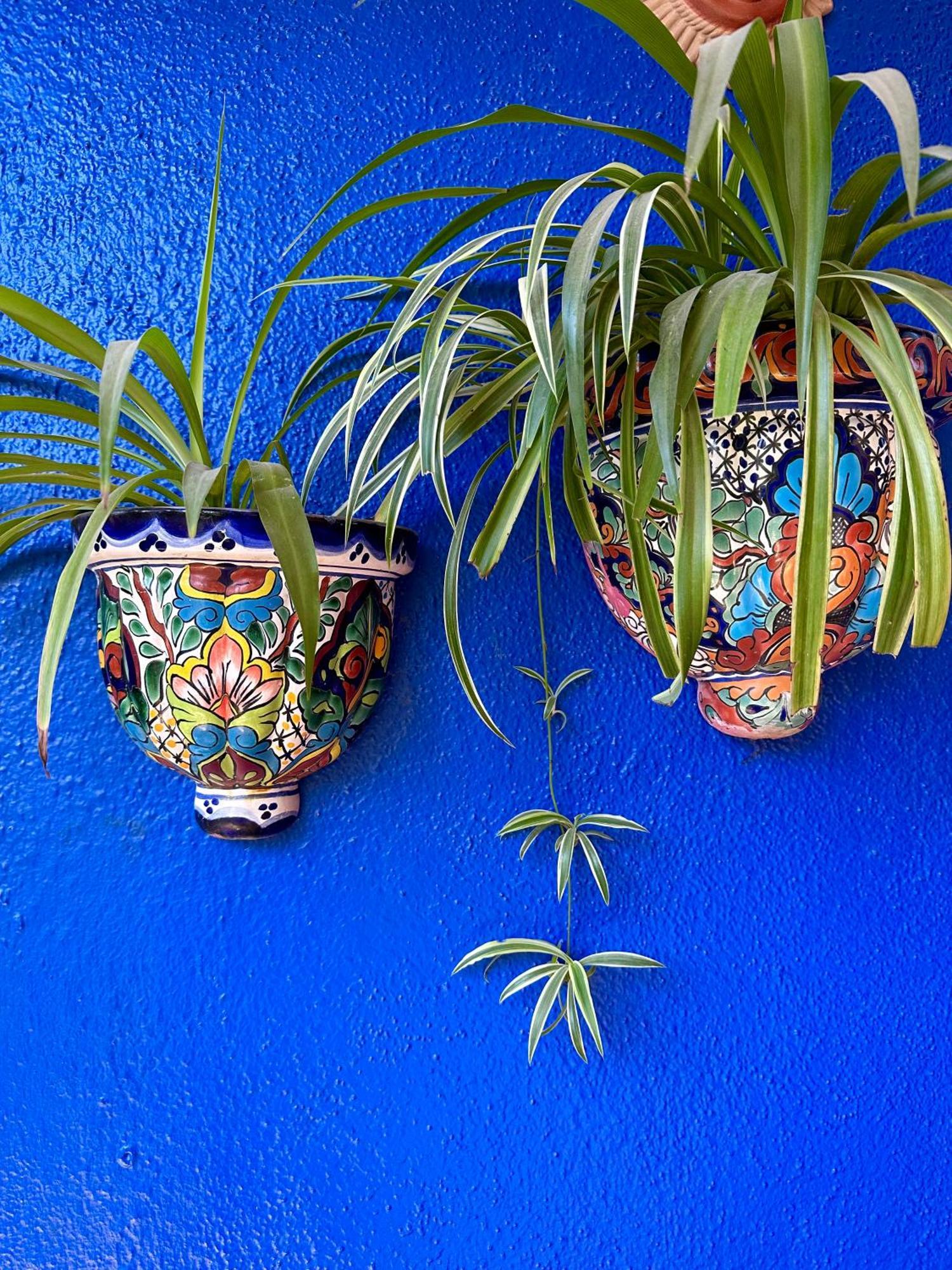 Siesta Suites Boutique Hotel Cabo San Lucas Luaran gambar