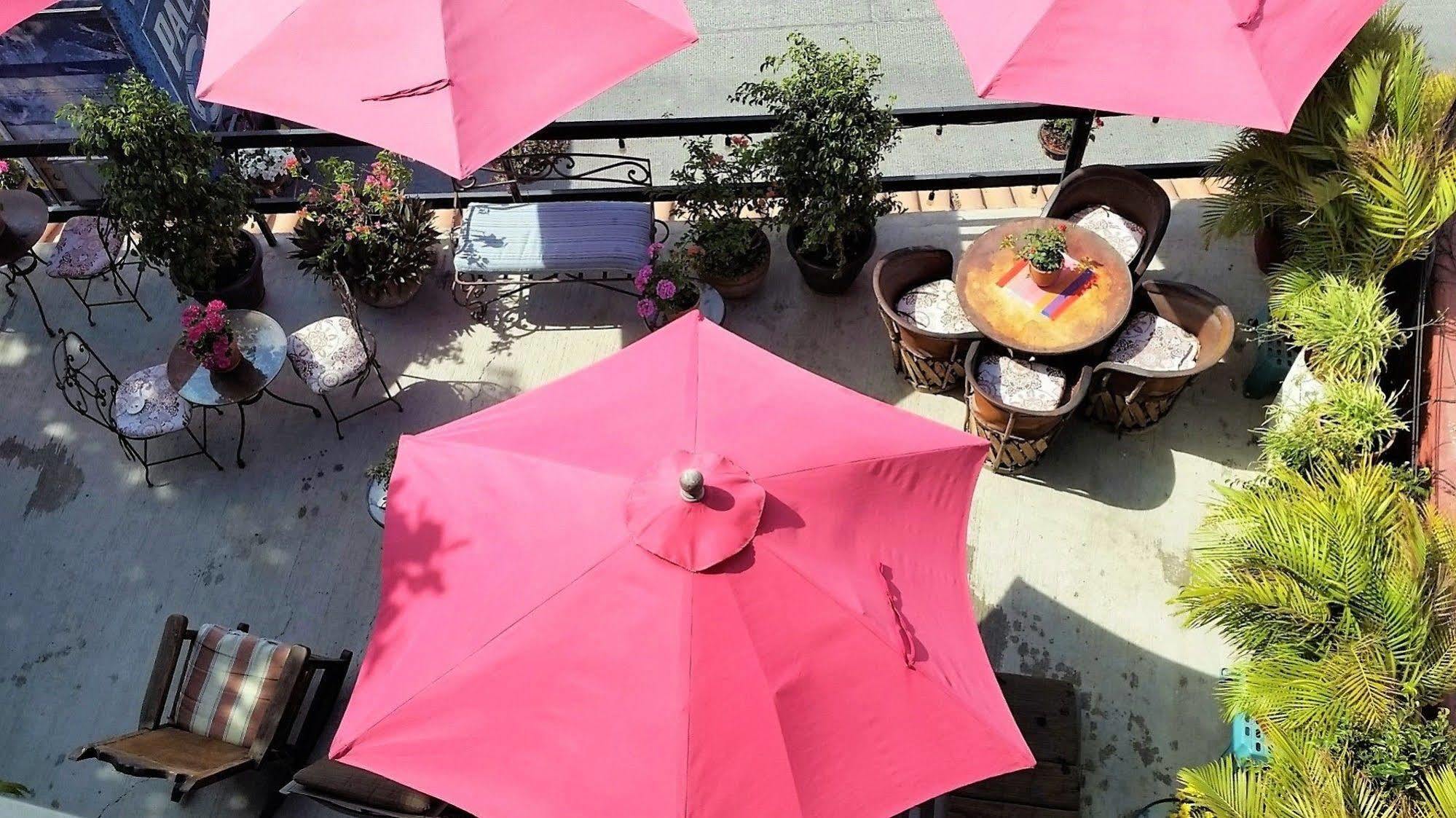 Siesta Suites Boutique Hotel Cabo San Lucas Luaran gambar