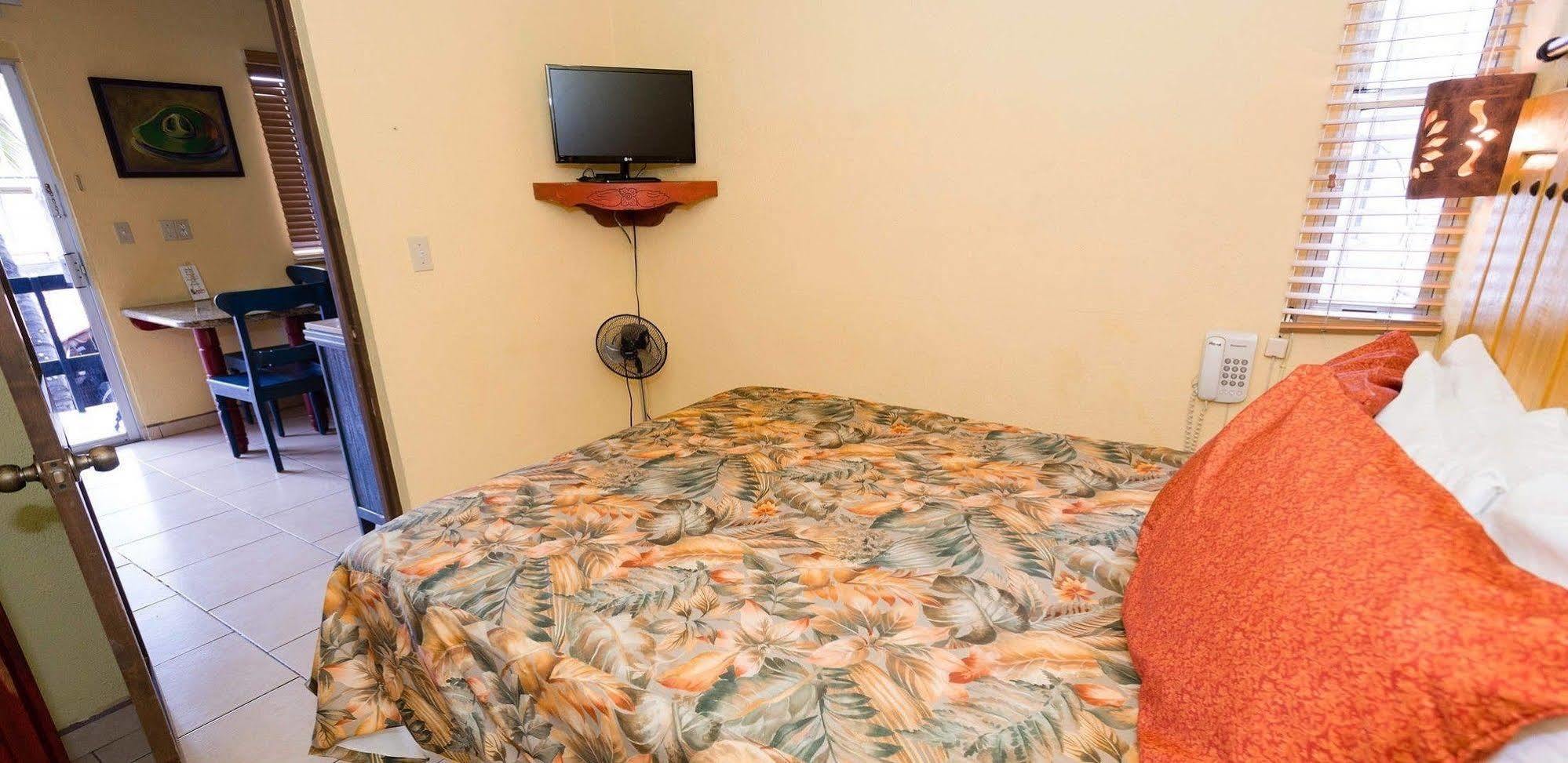 Siesta Suites Boutique Hotel Cabo San Lucas Luaran gambar